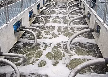 Anionic Polyacrylamide Used for Mineral Processing of Gold/Silver/Copper
